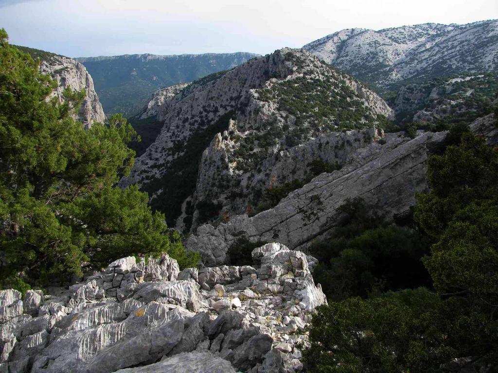 B&B Luce Viola Dorgali Esterno foto